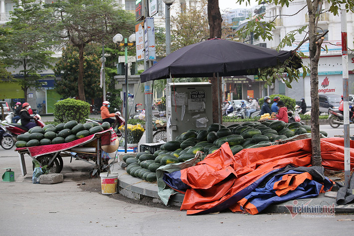 Dưa hấu ngày phơi nắng, đêm phơi sương chờ giải cứu.