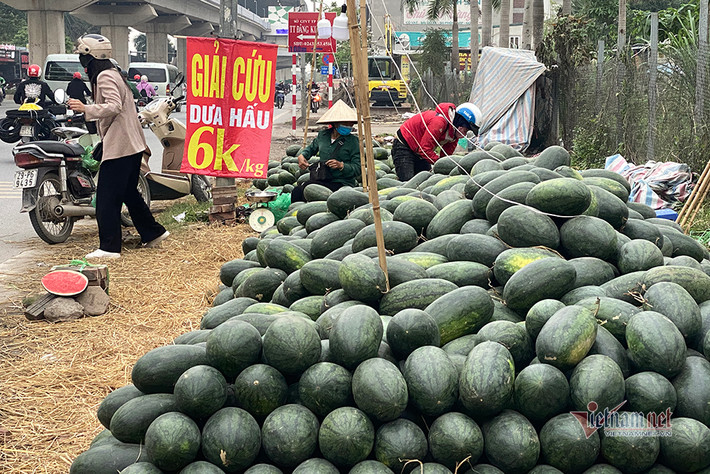 Trên đường Quang Trung (Hà Đông), dưa hấu cũng nằm la liệt vỉa hè bán giải cứu với giá chỉ 6.000 đồng/kg.