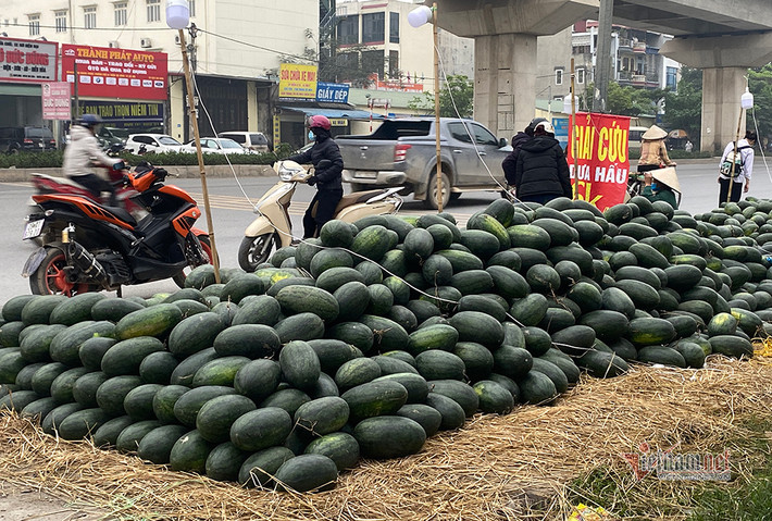 Nguyên nhân do ùn ứ nông sản ở các cửa khẩu phía Bắc, dưa hấu gặp khó trong việc xuất khẩu sang Trung Quốc.