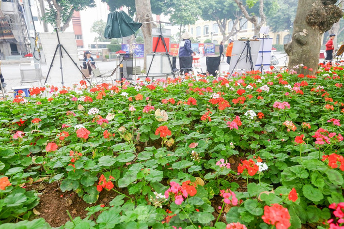 br/> Những bồn hoa ở đây được trồng với nhiều loại như hoa hồng, thược dược, đồng tiền, cúc Nam Phi, cúc thân gỗ, cúc lá nho, violet, cúc đại đóa...