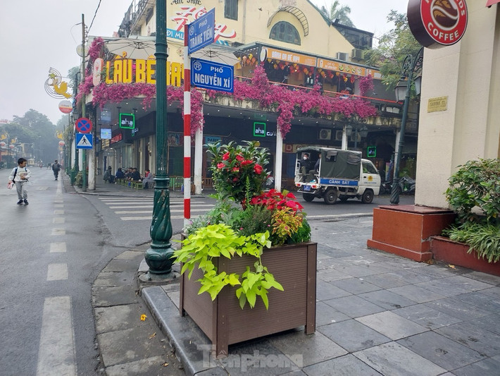 Những bồn hoa được đặt ngay cạnh ngã tư, tại các cột đèn.