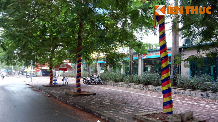 Trang trí cho cây hay bóp chết cây?