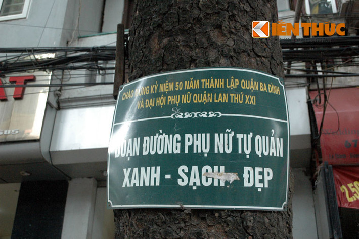 Hết cột treo biển, nên các cơ quan chức năng mang biển thông báo đóng vào thân cây.