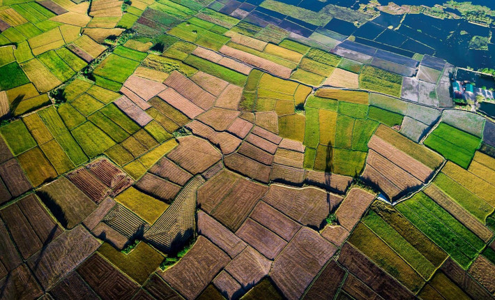 Nằm gần núi lửa Chư Đăng Ya có cánh đồng Ngô Sơn, từ trên cao nhìn xuống đẹp như tranh vẽ với những mảng màu xanh, vàng, nâu... bắt mắt. Ảnh: Phan Khánh.