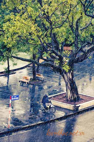 Bước nhanh qua cơn mưa