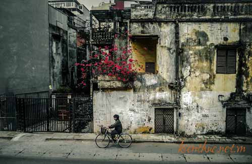 Sắc mầu phố đông