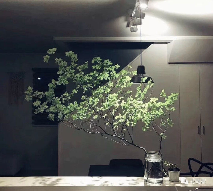 Lúc này, thạch nam khoác lên mình một màu xanh lá tươi mát, rất cuốn hút, mê hoặc. Còn vào mùa thu - đông là thời điểm chuyển mùa, lá cây sẽ chuyển sang màu đỏ vàng và nhanh chóng thay lá. Ảnh minh họa SH