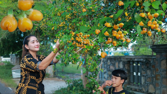 Theo quan niệm phong thủy, việc trồng cây duối trong nhà có thể giúp kích hoạt năng lượng tài lộc và thu hút may mắn, tạo điều kiện cho sự phát triển và thành công trong lĩnh vực kinh doanh hoặc công việc.