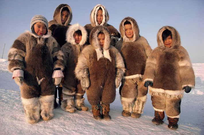 Khoảng 4.000 năm trước, các bộ lạc người Eskimo cổ xuất hiện ở khu vực Bắc Mỹ, sau đó di chuyển đến vùng đất băng tuyết khác như Đông Siberira, Alaska, Canada, Greenland. Họ được coi là những người chịu lạnh giỏi nhất thế giới, khi có thể sinh tồn ở nơi nhiệt độ thường xuyên xuống thấp khoảng âm 40 độ C. Ảnh: Science Source.
