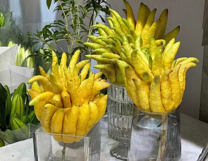 Vì có nhiều hình dáng sống động như thật, loại quả này giống như bàn tay của Đức Phật, như thể chúng có thể đưa ra sự chỉ dẫn, ban phước lành cho mọi người.