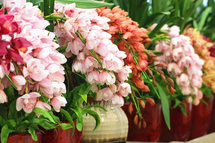 Mua một chiếc chậu địa lan đặt trong phòng khách vừa tạo không khí vừa đẹp mắt, vừa có thể làm tăng thêm niềm vui cho ngày lễ. Bạn cũng không cần lo lắng về việc chăm sóc, chỉ cần mang về nhà và thưởng thức những bông hoa.