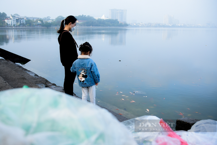 Chia sẻ với phóng viên, chị Thủy Tiên (ở quận Tây Hồ) cho biết: "Sáng nay tranh thủ đi làm sớm tiện mình ra đây thả cá, thay vì mọi năm bỏ túi ni lông thì năm nay mình mang theo chậu riêng. Ra đây mình thấy tàn tro và cá chết khá nhiều, có thể là do việc thả cá vô tội vạ kèm theo tàn nhang nên mới thế".