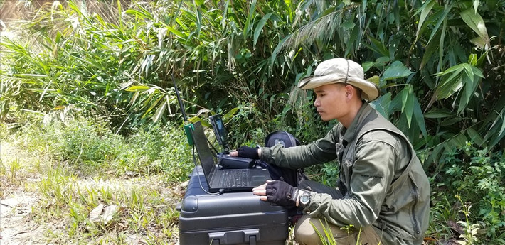 Thành viên của Save Vietnam's Wildlife sử dụng thiết bị hiện đại hàng đầu Việt Nam trong giám sát tê tê sau tái thả. Ảnh: SVW