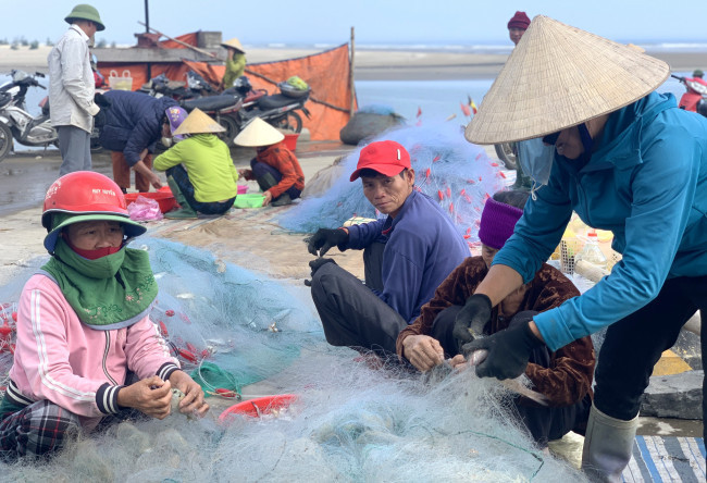 Cá cháo đắt hàng nên thương lái phải cạnh tranh trả giá để cố thu gom được nhiều hơn. Từ giữa buổi sáng, hàng chục thương lái đã sẵn sàng xô, chậu... chờ chực tại bờ biển để thu mua cá cháo. Khi thuyền cập bến, họ cùng chủ thuyền gỡ lưới, phân loại cá rồi mua ngay tại bến.