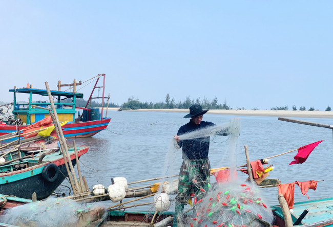 Những ngày đầu năm, vùng bãi ngang các huyện Nghi Xuân, Lộc Hà, Cẩm Xuyên (Hà Tĩnh) trở nên tấp nập cảnh mua bán cá cháo (cá khoai). Các thuyền gỗ công suất nhỏ từ ngoài khơi tấp nập chở đầy cá cháo vào bờ để bán cho thương lái.