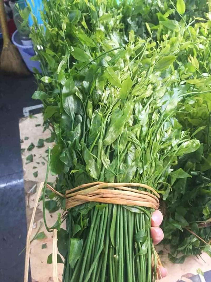 Một người dân tại Lạng Sơn cho biết: Rau ngót rừng "xịn" không phải loại được bà con trồng mà là loại rau quý, sống tự nhiên trên rừng, đồi núi. Nó ngọt hơn và mùi vị đặc trưng của rau rừng, cách chế biến cũng rất dễ dàng. Chỉ cần tuốt lấy những đọt lá non, rửa sạch, vò qua rồi thả vào nấu canh, thêm ít gia vị là có một món canh ngọt đậm đà tự nhiên. Muốn ngon hơn, khi nấu cho thêm ít thịt băm.