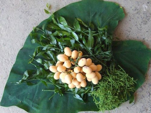 Ngót rừng là một loại rau đặc trưng chỉ có ở nơi núi đá, vị ngọt và lạ miệng nên được rất nhiều người ưa chuộng. Mùa rau ngót rừng năm nay có giá "chát" hơn so với mọi năm nhưng các tiểu thương cho biết khi đưa về Hà Nội vẫn "cháy hàng".