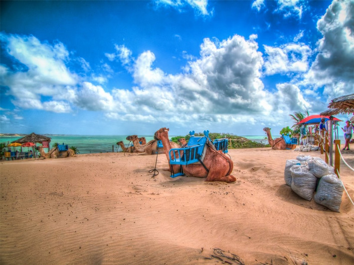Bãi biển Genipabu, Natal, Brazil. Genipabu có nhiều điều thú vị hơn là chỉ có bơi lội như là phong cảnh hòa trộn giữa bãi biển và những đụn cát khổng lồ mà du khách có thể lót ván trên cát đi hay cưỡi lạc đà. Cùng với đó, biển Đại Tây Dương cho du khách cơ hội trải nghiệm những môn thể thao dưới nước.