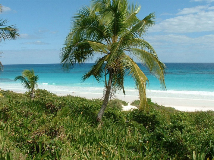 Bãi biển PinkSands, HarbourIsland, Bahamas. Những bãi biển với cát trắng hay cát vàng thì thật quen thuộc nhưng bãi biển PinkSands cát hồng thì thật độc đáo. Được xem là bãi biển đẹp nhất Bahamas, PinkSands dài 3 dặm, rộng từ 50 tới 100 feet. Nguyên nhân tạo nên sắc màu kì lạ của bãi biển này là Foraminifera, một loại san hô đã để lại lớp vỏ màu hồng khi chúng chết.
