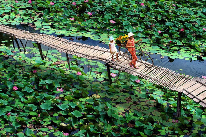 Ảnh: Trần Thị Kiều Anh.