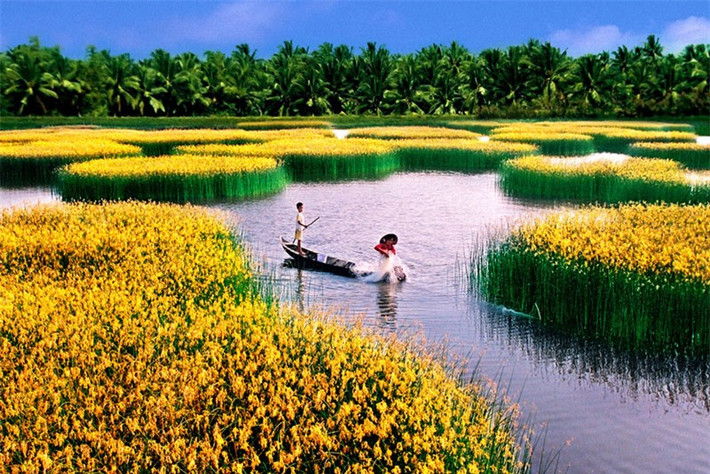 Đồng bằng sông Cửu Long là một bộ phận của châu thổ sông Mê Kông có diện tích 39.734 km2. Ảnh: Nguyễn Thanh Dũng.