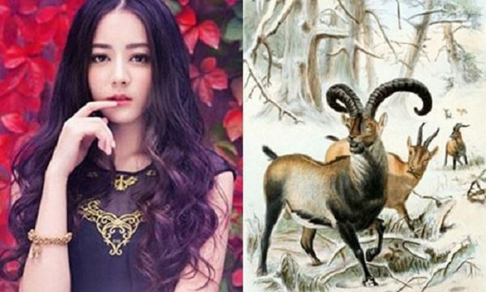 Còn với những người tuổi Mùi đã có gia đình thì đây chính là thời điểm vô cùng vui vẻ hạnh phúc.