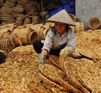 Kỹ thuật đan lục bình đơn giản hơn dệt chiếu, gồm các kiểu cơ bản như: đan hạt gạo, đan xương cá và đan mạng nhện. Tùy sản phẩm mà sử dụng kiểu đan khác nhau. Ví dụ kiểu xương cá thường được sử dụng đan thảm, còn đan kệ để báo, tạp chí thì sử dụng kiểu hạt gạo.
