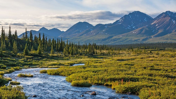 Đài nguyên Alaska, Mỹ: Đài nguyên Alaska ở Mỹ là quần xã sinh vật lạnh nhất thế giới. Sự đóng băng vĩnh viễn, nhiệt độ thấp, và chất dinh dưỡng ít trong đất đã ngăn chặn nhiều loại cây phát triển. Đài nguyên Alaska chịu ảnh hưởng của sự ấm lên toàn cầu nhanh và nghiêm trọng hơn những nơi khác trên Trái Đất. Nếu nhiệt độ tiếp tục tăng, đài nguyên xinh đẹp này sẽ biến mất hoàn toàn.