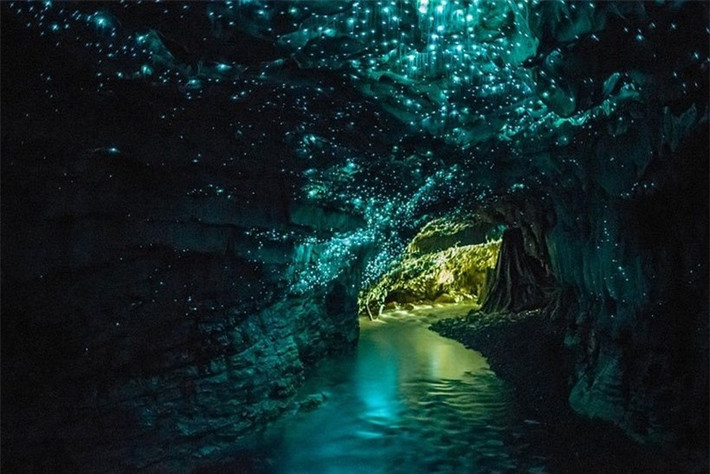 Hệ thống hang động Waitomo tuyệt đẹp ở New Zealand.