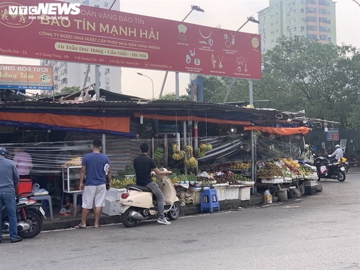 Ngoài dứa thì giá cam sành cũng đang tăng nhanh.