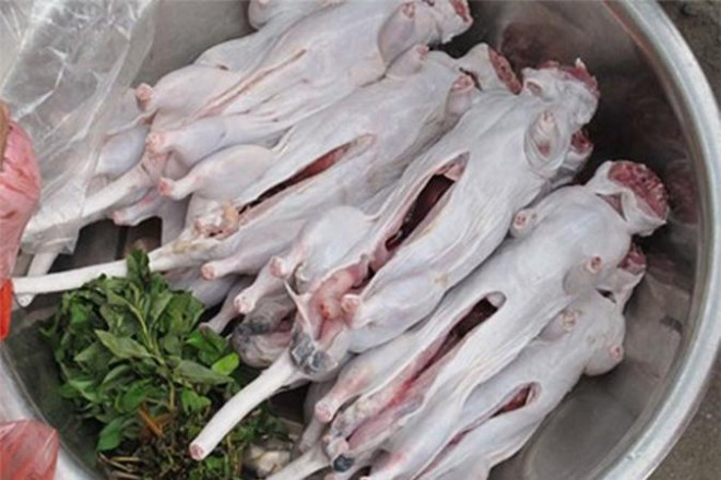 Chuột cống cỏ sau khi bắt về bị lột sạch da, thịt chuột trắng như thịt gà. Bộ lòng chuột được vứt bỏ, chỉ giữ lại những viên tinh hoàn như những viên bi thì "nâng niu" như báu vật trong dĩa chuột khìa nước dừa.