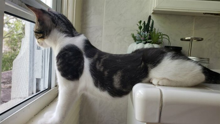 ##sc### Cách thức sáng tạo để hóng hớt.