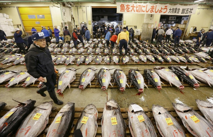 Chợ cá Tsukiji (Nhật Bản): Đây từng là chợ cá lớn nhất thế giới. Tsukiji được chọn làm nơi diễn ra các buổi đấu giá cá. Nhà hàng, quán cà phê đã mọc lên xung quanh để phục vụ nhu cầu của lượng lớn khách ghé thăm. Hiện nay, các nhà hàng, quán cà phê vẫn còn đó nhưng Tsukiji đã gần như biến mất. Các hàng quán bên trong đã được di dời tới chợ Toyosu vào năm 2018. Ảnh: The Japan Times.