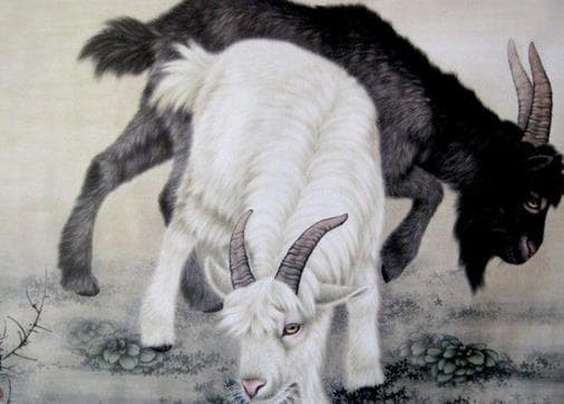 Trên thực tế, những người sinh năm Dê có vận may giàu có, lại càng mạnh mẽ hơn, dù đầu tư kiểu gì cũng gặt hái được nhiều thành quả, dễ dàng có được tài sản cho gia đình.