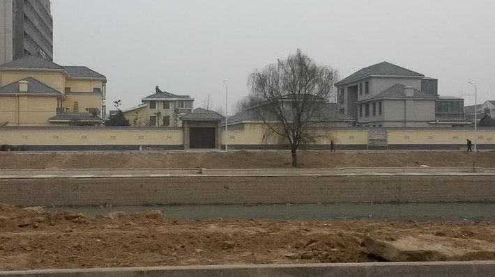 Được nhận xét là một người không có tài nhưng giỏi nịnh hót, quan tham họ Gu từng bước leo lên những chức vị cao trong quân đội mà đỉnh cao là Phó chủ nhiệm Tổng cục Hậu cần quân đội Trung Quốc.
