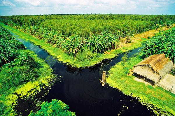 Cà Mau là tỉnh duy nhất ở miền Tây Nam Bộ có tới 2 vườn quốc gia (U Minh Hạ và Mũi Cà Mau). Đến với vùng đất mũi này, du khách sẽ có cơ hội khám phá những khu rừng ngập mặn nguyên sinh, cùng rất nhiều loài động vật, thực vật phong phú, đa dạng khác.