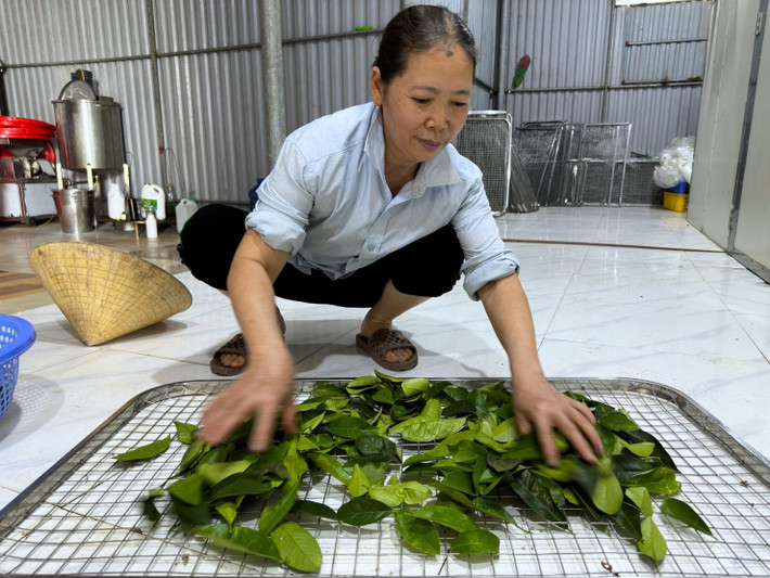 Người dân sau đó để ráo nước và cho vào khay...