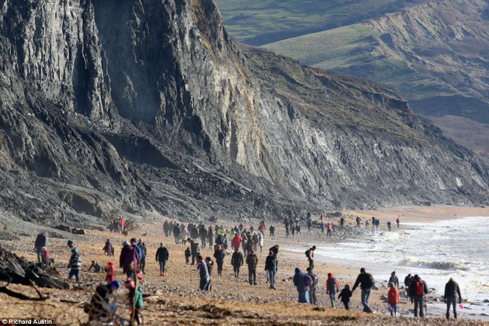 Thời gian gần đây, dọc bờ biển Jurassic ở Dorset, khá nhiều người dân tìm tới đây để đào bới mong tìm thấy những cổ vật.