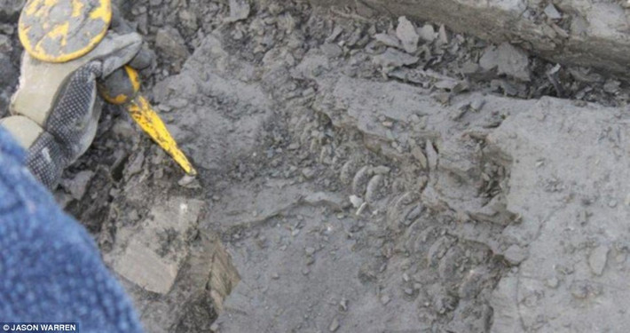 Bờ biển Jurassic thực ra là một điểm di sản thế giới dài 96 dặm với những vách đá hình thành từ 180 triệu năm trước.