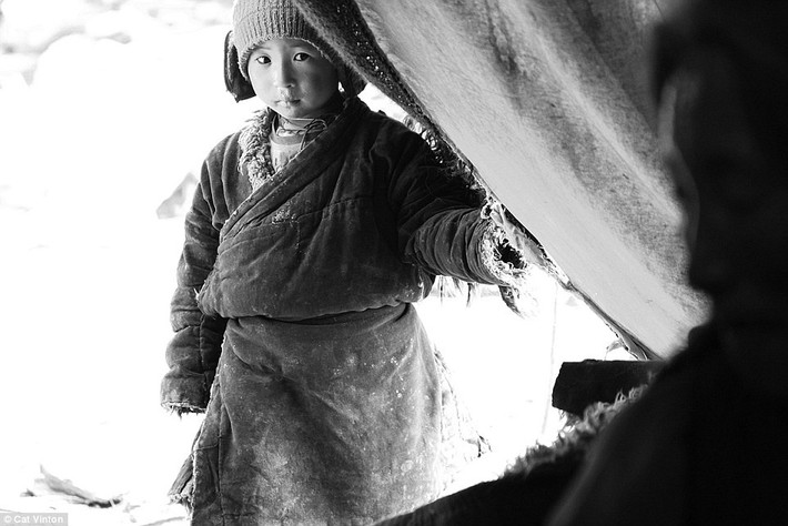 Sinh ra trong một gia đình du mục sống ở cao nguyên Chang Tang trên dãy Himalayas, Jimmai là một phần của lối sống đang ngày dần mai một.