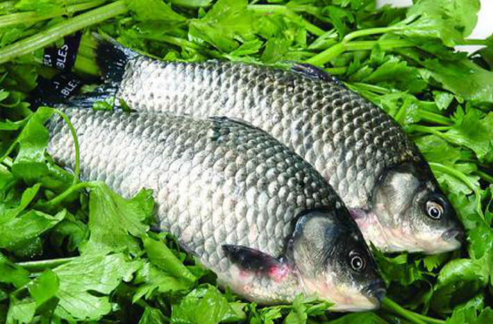 Cá diếc giúp dưỡng khí kiện tỳ, lợi thủy, tiêu thũng, thanh nhiệt giải độc thông tuyến sữa, rất tốt cho mẹ bầu. Ăn cá diếc liên tục giúp sản phụ lợi sữa, dầu cá diếc có lợi cho tim mạch, thúc đẩy lưu thông máu.
