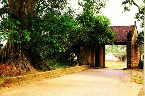 Làng cổ Đường Lâm ở thị xã Sơn Tây (Hà Nội) là quê hương của vua Ngô Quyền. Ngôi làng này còn có biệt danh “đất hai vua”, đã sinh ra vua Ngô Quyền và vua Phùng Hưng.