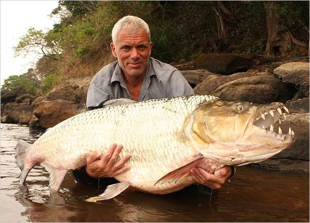 Jeremy Wade đã đi khắp thế giới để tìm bắt những con cá nước ngọt khổng lồ, những loài cá háu thịt người. Nhiều lần ông đã phải dùng chính mình để làm mồi nhử và không ít lần gặp nguy, bị thương nặng nhưng chúng không làm ông nản chí.