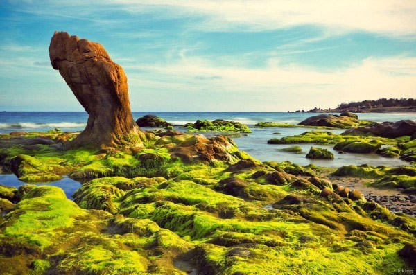 3. Biển Cổ Thạch, Phan Thiết. Bãi biển Cổ Thạch tọa lạc tại một nơi vắng vẻ thuộc địa phận xã Bình Thạnh, huyện Tuy Phong, tỉnh Bình Thuận, cách thành phố Phan Thiết khoảng 90km, mặc dù đã được đưa vào khai thác nhưng biển nơi đây vẫn giữ nguyên nét hoang sơ