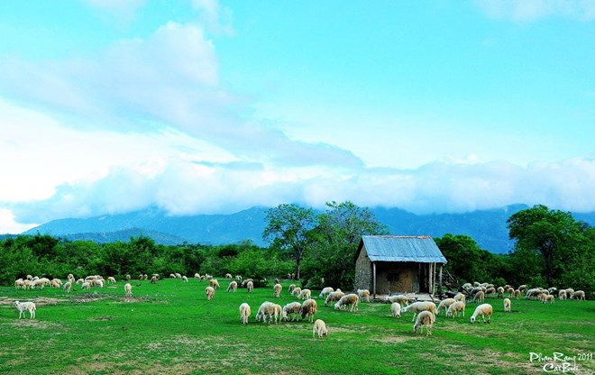 Bức ảnh như được chụp ở các vùng cao nguyên Tây Tạng, đẹp ngỡ ngàng và khá lạ lẫm.
