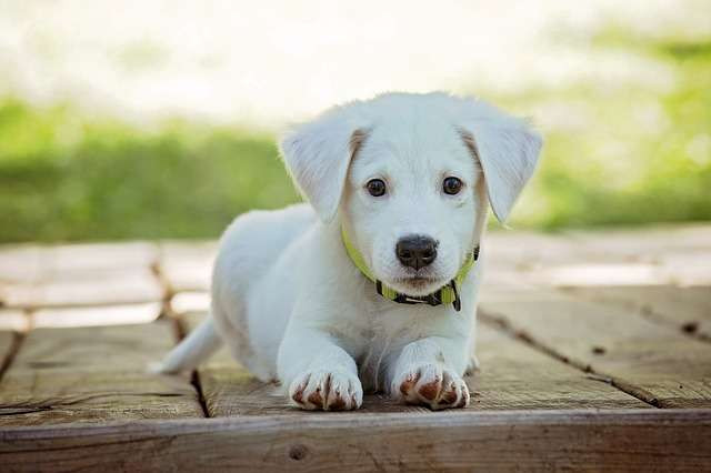 Thậm chí, xung đột xảy ra ở mức cao trào, sau nhiều lần tranh cãi dẫn đến chia tay.