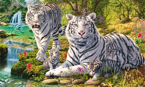 Trong thời gian sắp tới, chỉ cần họ giữ được sự kiên trì nỗ lực của mình thì không lâu sau đó, phúc khí sẽ gia tăng gấp bội.