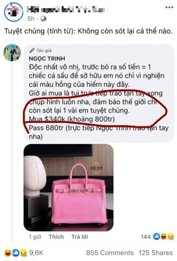 Chưa hết, người đẹp còn bị soi "content" đăng bán hàng dùng từ "tuyệt chủng" nhưng lại còn sót lại một vài em túi Hermes. Trong khi đó, tuyệt chủng mang nghĩa không còn sót lại cá thể nào.