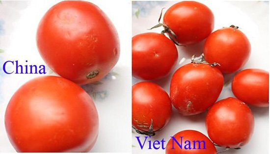 Là một trong số nhiều loại rau củ Trung Quốc được bán tràn lan tại các chợ ở Việt Nam. Điểm dễ phân biệt nhất là cà chua Việt hình thuôn nhỏ bầu dục, nhiều quả có núm nhỏ, nhọn hoặc cà chua sẽ có hình tròn dẹt, méo mó; vỏ bên ngoài không bóng đẹp. Trong khi đó, cà chua Trung Quốc thường có hình tròn, vỏ bóng, căng mịn trông rất bắt mắt; do được bón thuốc tăng trưởng nên thường cà chua quả sẽ rất to, đều nhau thường không có cuống hay núm quả.