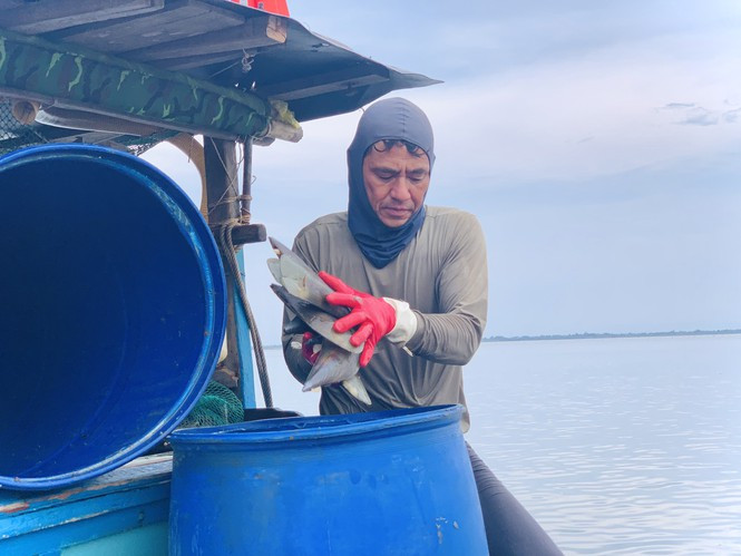 ##s###Còn ông Trần Văn Thìn (36 tuổi), một chủ thuyền đánh bắt sò mai chia sẻ, như hôm nay thuyền anh đánh bắt được gần 7 tạ sò mai. 10kg sò mai vỏ chế biến ra được 1kg cồi sò mai. Chi ít chuyến ra khơi lần này anh Thìn thu về 14 triệu đồng.